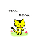 トラねこちゃん2（播州弁）（個別スタンプ：3）