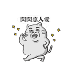 Puchi cat（個別スタンプ：1）