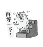Puchi cat（個別スタンプ：10）