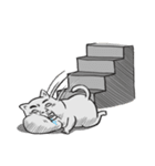 Puchi cat（個別スタンプ：12）