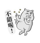 Puchi cat（個別スタンプ：19）