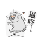 Puchi cat（個別スタンプ：20）