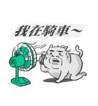 Puchi cat（個別スタンプ：40）