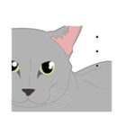 リアル系猫（個別スタンプ：3）