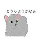 リアル系猫（個別スタンプ：5）