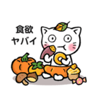 かぼちゃパンツの猫さん（個別スタンプ：37）