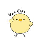 ぴよぴよスタンプ パート2（個別スタンプ：19）