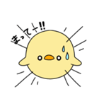 ぴよぴよスタンプ パート2（個別スタンプ：31）