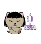 Kora : Isan Cat（個別スタンプ：8）