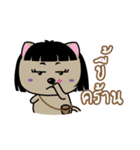Kora : Isan Cat（個別スタンプ：17）