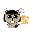 Kora : Isan Cat（個別スタンプ：21）