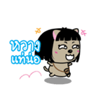 Kora : Isan Cat（個別スタンプ：26）