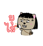 Kora : Isan Cat（個別スタンプ：29）