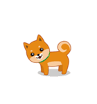 柴犬「ムサシ」4（個別スタンプ：2）