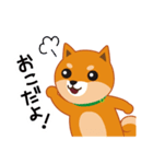 柴犬「ムサシ」4（個別スタンプ：7）