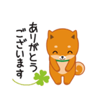 柴犬「ムサシ」4（個別スタンプ：20）