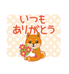 柴犬「ムサシ」4（個別スタンプ：21）