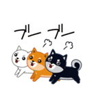 柴犬「ムサシ」4（個別スタンプ：24）