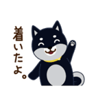 柴犬「ムサシ」4（個別スタンプ：25）