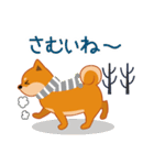 柴犬「ムサシ」4（個別スタンプ：27）