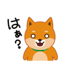 柴犬「ムサシ」4（個別スタンプ：34）