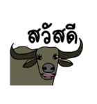 Buffalo buffalo（個別スタンプ：1）