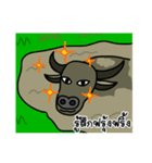 Buffalo buffalo（個別スタンプ：6）