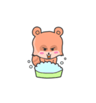 Raccoon Butler（個別スタンプ：9）