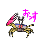 シオマネキリリン（個別スタンプ：1）