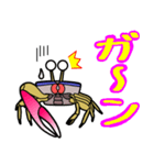 シオマネキリリン（個別スタンプ：12）