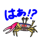 シオマネキリリン（個別スタンプ：15）