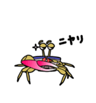 シオマネキリリン（個別スタンプ：18）
