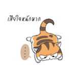 Soidow cat (Thai v.)（個別スタンプ：1）