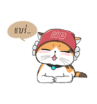 Soidow cat (Thai v.)（個別スタンプ：8）