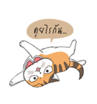 Soidow cat (Thai v.)（個別スタンプ：12）