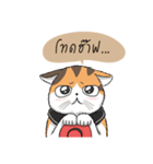 Soidow cat (Thai v.)（個別スタンプ：17）