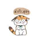 Soidow cat (Thai v.)（個別スタンプ：18）