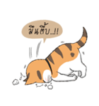 Soidow cat (Thai v.)（個別スタンプ：21）