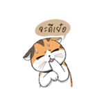 Soidow cat (Thai v.)（個別スタンプ：25）