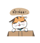 Soidow cat (Thai v.)（個別スタンプ：34）