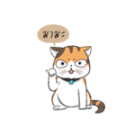 Soidow cat (Thai v.)（個別スタンプ：38）