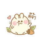 Hamster bun TH.1（個別スタンプ：1）