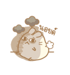 Hamster bun TH.1（個別スタンプ：23）