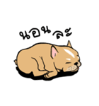 Somboon Happy French Bulldog（個別スタンプ：6）