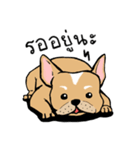 Somboon Happy French Bulldog（個別スタンプ：12）