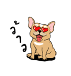 Somboon Happy French Bulldog（個別スタンプ：15）