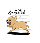 Somboon Happy French Bulldog（個別スタンプ：18）
