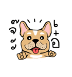 Somboon Happy French Bulldog（個別スタンプ：27）