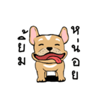 Somboon Happy French Bulldog（個別スタンプ：30）