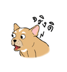 Somboon Happy French Bulldog（個別スタンプ：32）